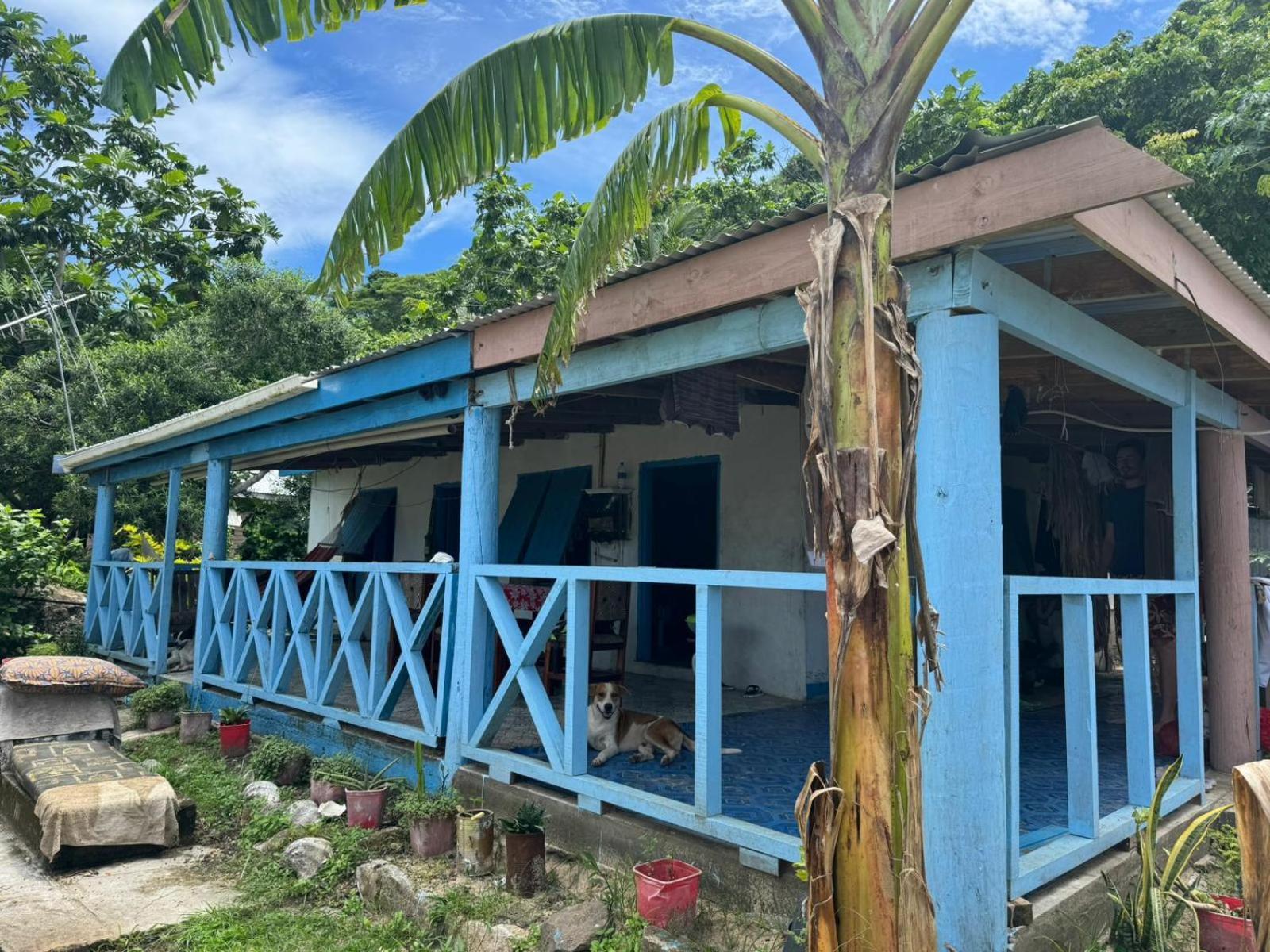 Lusis Homestay Lautoka Εξωτερικό φωτογραφία